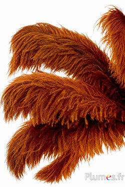 Struisvogel - 30-40 cm - grijs natuurlijk- azteeks goud
